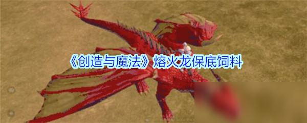 探索熔火龙饲料最佳用量：打造完美养殖方案